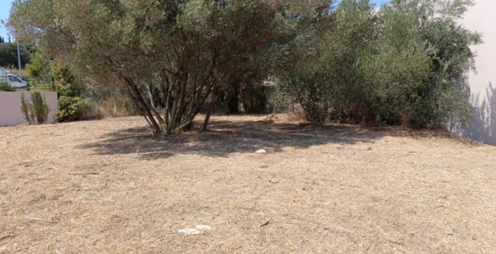 Image No.14-Plot for sale