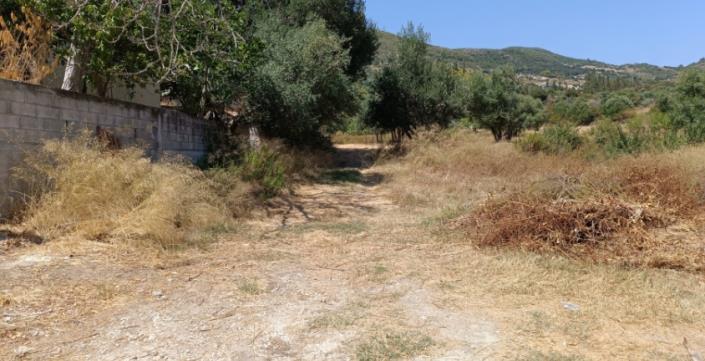 Image No.10-Plot for sale