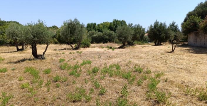 Image No.12-Plot for sale