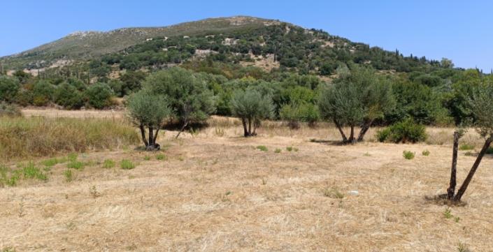 Image No.17-Plot for sale