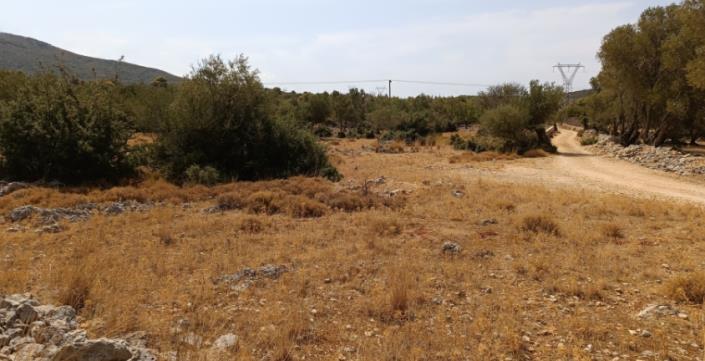 Image No.3-Plot for sale