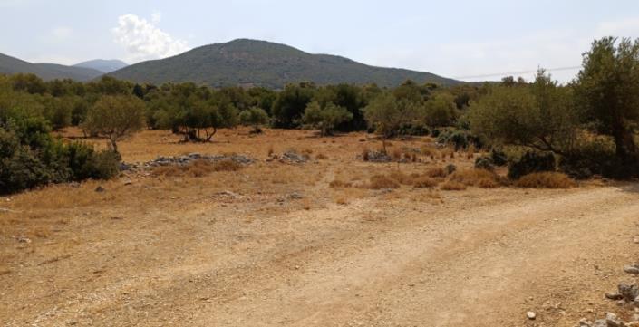 Image No.5-Plot for sale