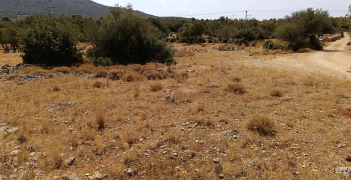 Image No.4-Plot for sale