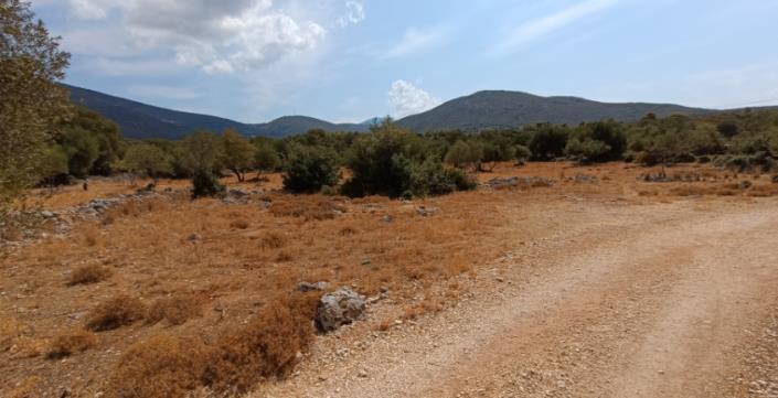 Image No.6-Plot for sale