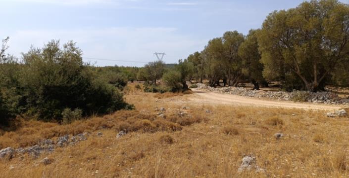 Image No.7-Plot for sale