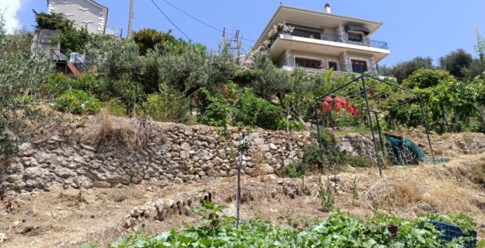 Image No.55-Maison de 8 chambres à vendre à Vlachata