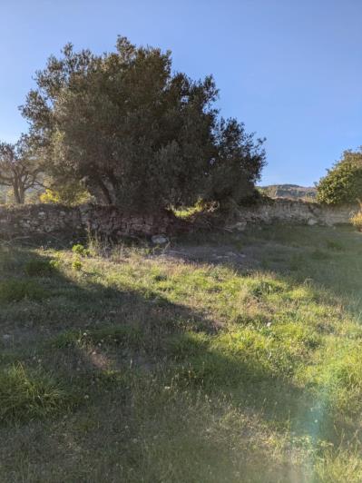 Image No.11-Terre à vendre à Skineas