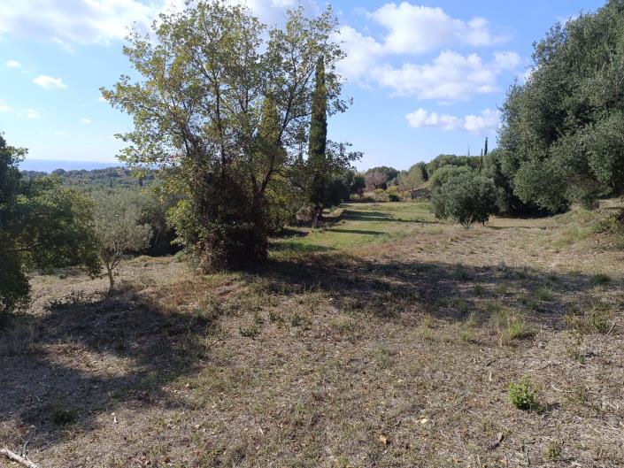 Image No.2-Plot for sale