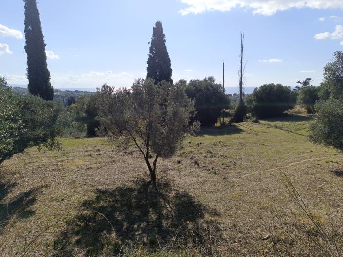 Image No.14-Plot for sale