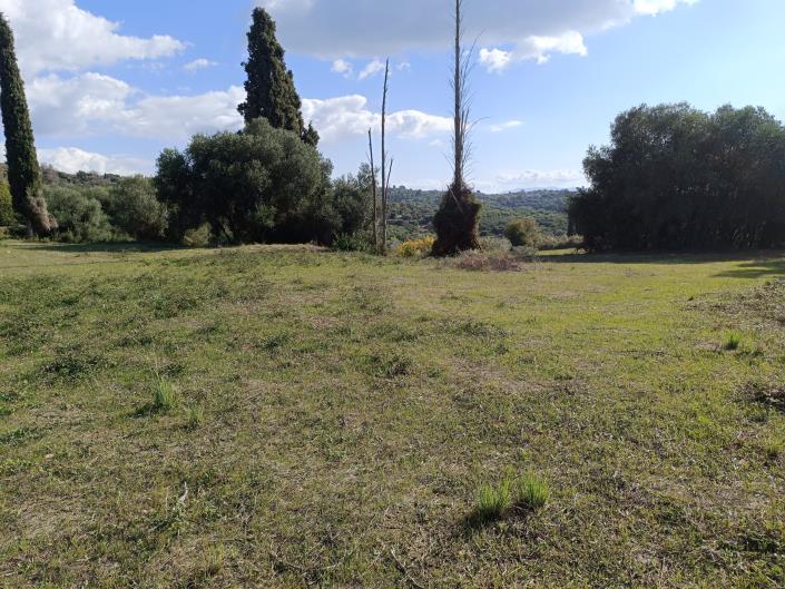 Image No.25-Plot for sale