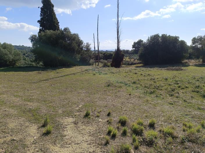 Image No.27-Plot for sale