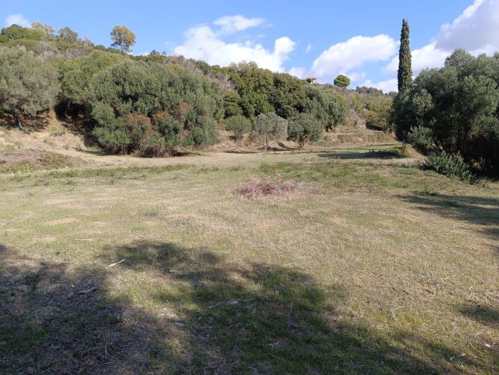 Image No.29-Plot for sale