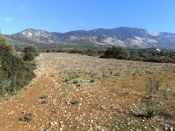 Image No.2-Terre à vendre à Karavados