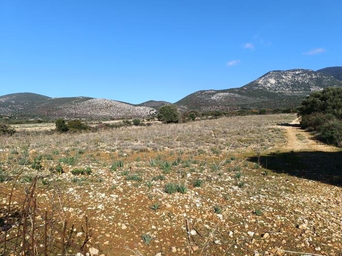 Image No.3-Terre à vendre à Karavados