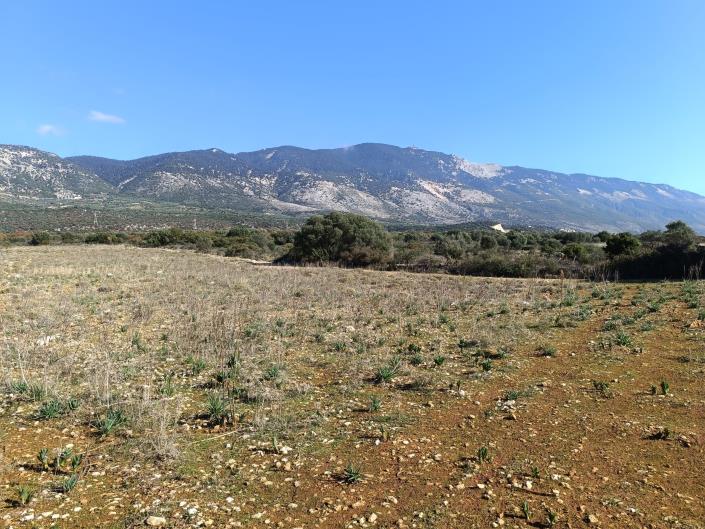 Image No.16-Terre à vendre à Karavados