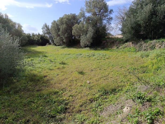 Image No.4-Terrain à vendre à Mavrata