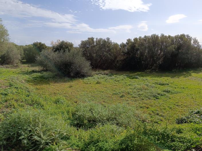 Image No.5-Terrain à vendre à Mavrata