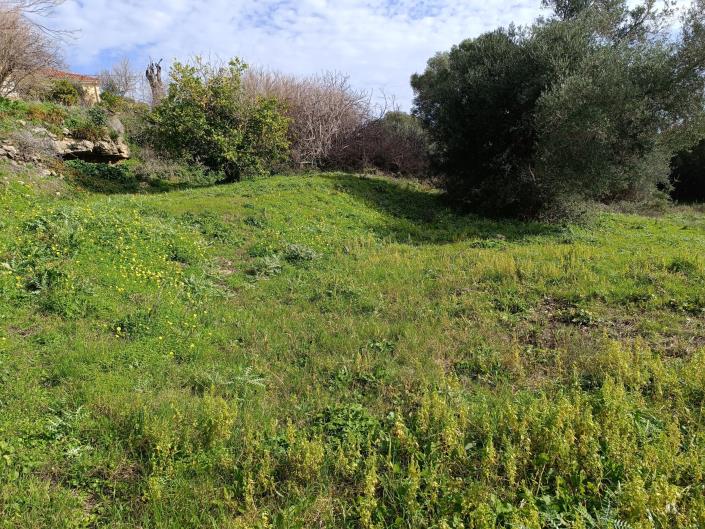 Image No.7-Terrain à vendre à Mavrata