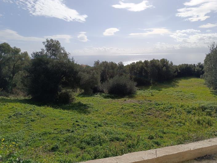 Image No.11-Terrain à vendre à Mavrata