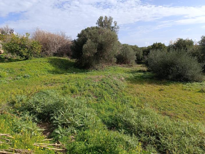 Image No.12-Terrain à vendre à Mavrata