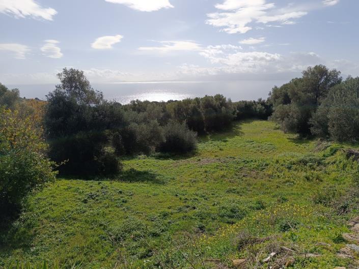 Image No.13-Terrain à vendre à Mavrata