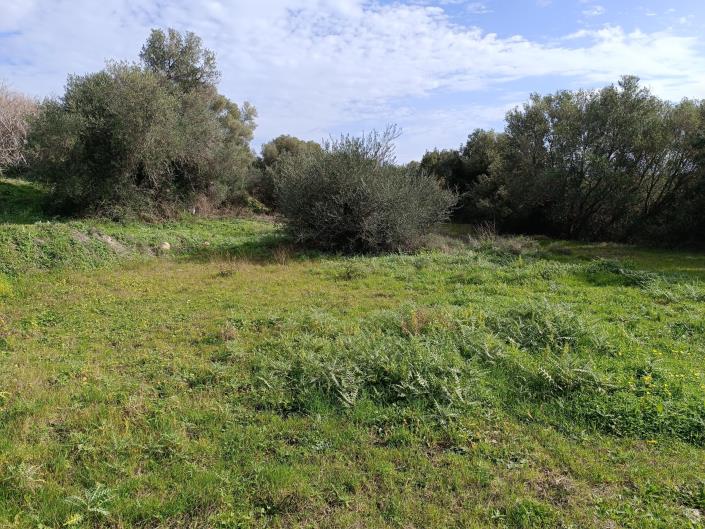 Image No.14-Terrain à vendre à Mavrata