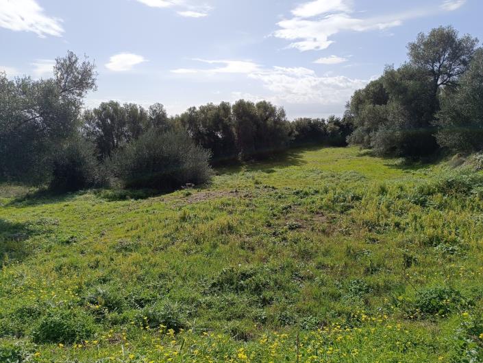 Image No.18-Terrain à vendre à Mavrata