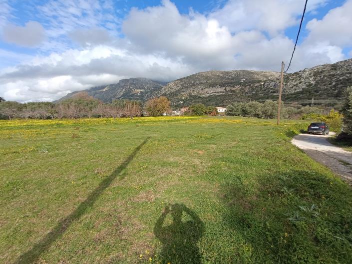 Image No.2-Plot for sale