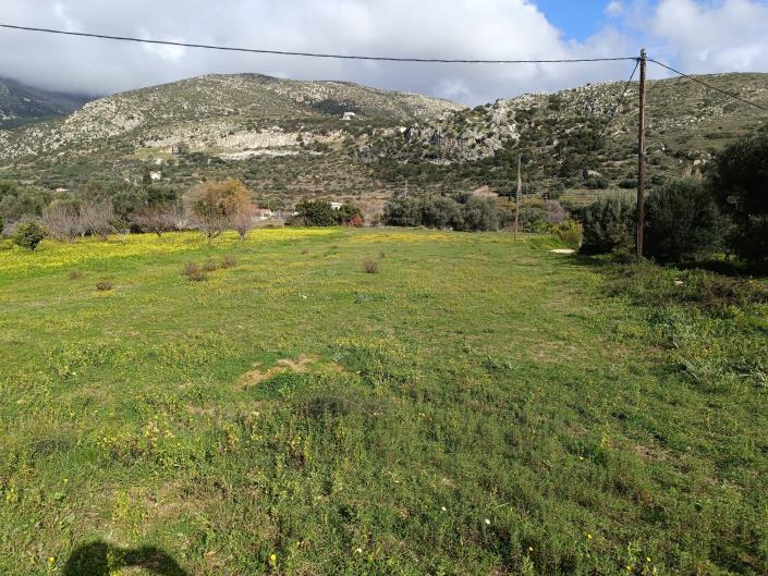 Image No.9-Plot for sale