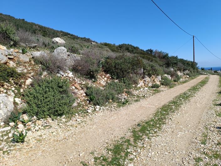 Image No.5-Land for sale