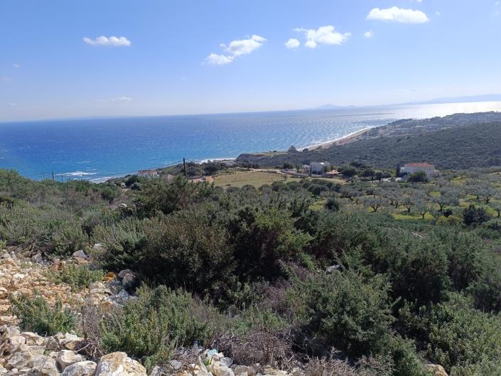 Image No.7-Land for sale