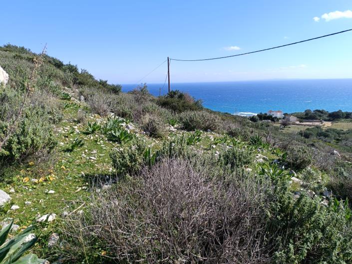 Image No.9-Land for sale