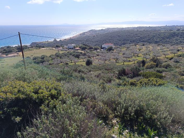 Image No.12-Land for sale