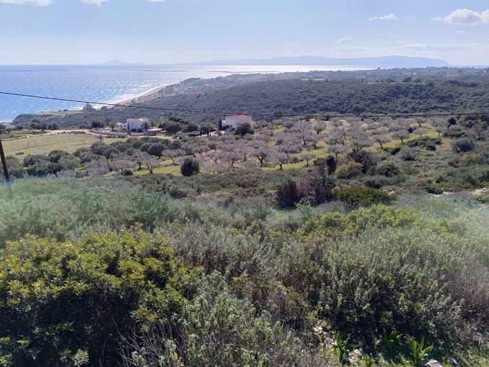 Image No.14-Land for sale