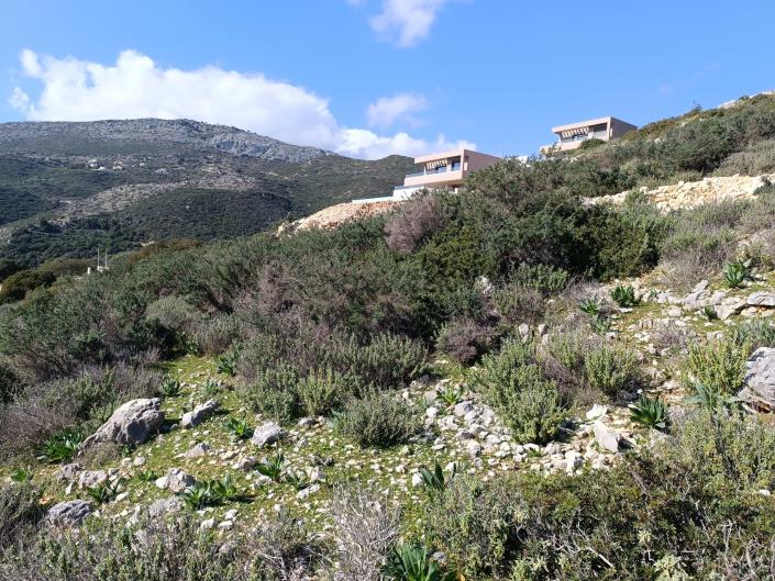 Image No.17-Land for sale