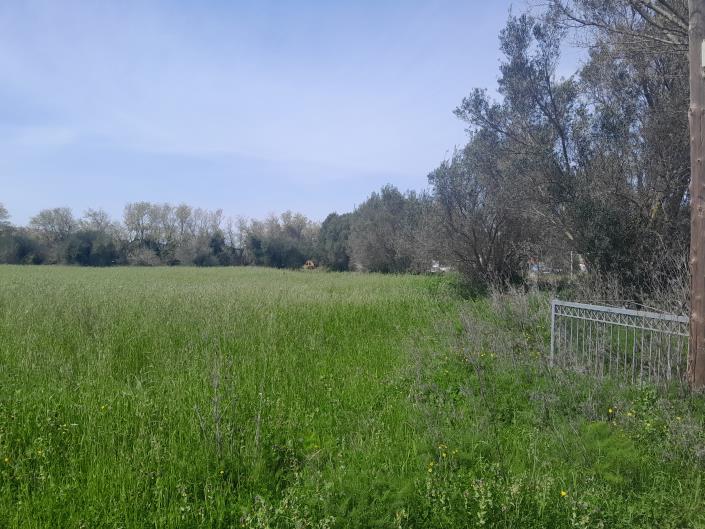 Image No.9-Plot for sale