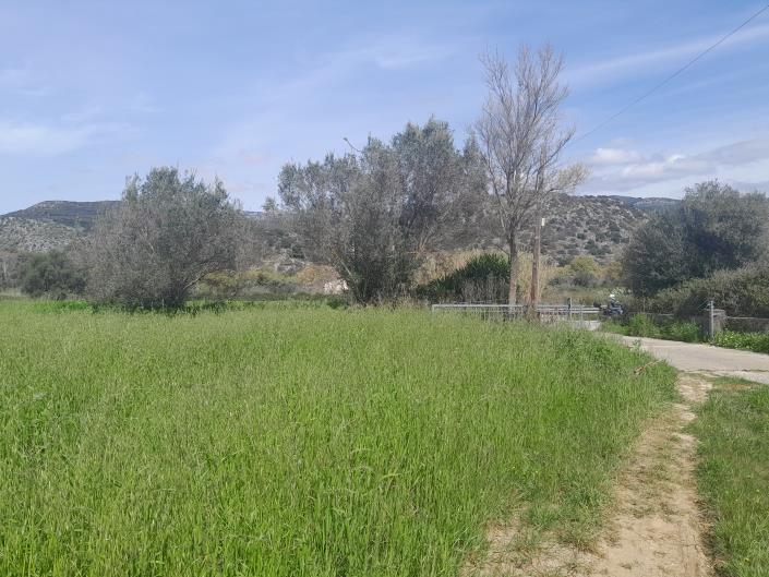 Image No.14-Plot for sale