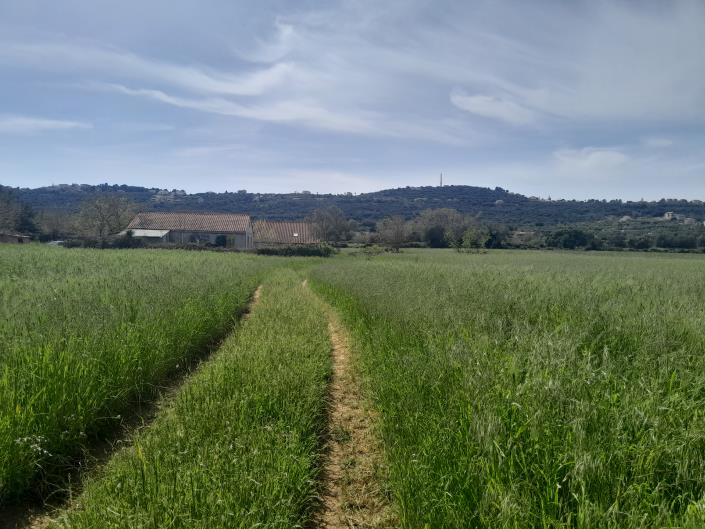 Image No.19-Plot for sale