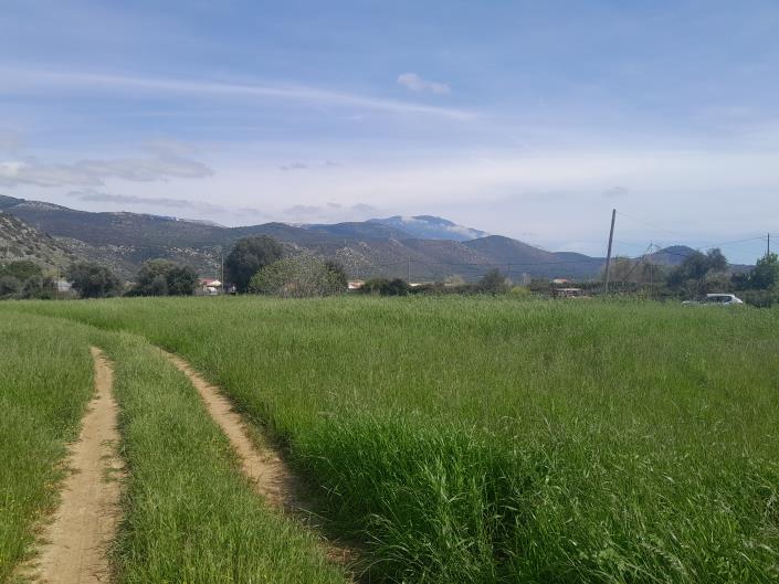 Image No.21-Plot for sale