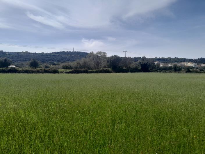 Image No.22-Plot for sale