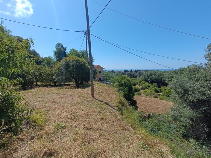 Image No.2-Terre à vendre à Domata