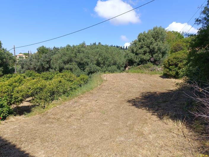 Image No.5-Terre à vendre à Domata