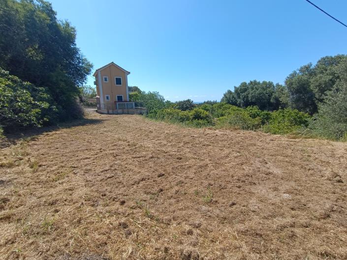Image No.6-Terre à vendre à Domata