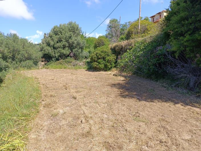 Image No.7-Terre à vendre à Domata