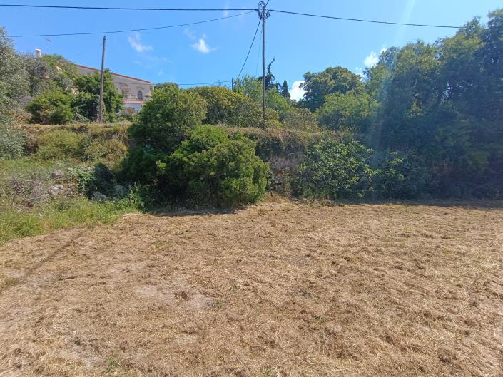 Image No.8-Terre à vendre à Domata