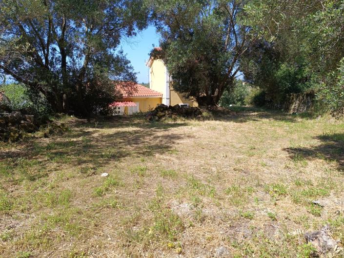 Image No.12-Terre à vendre à Domata