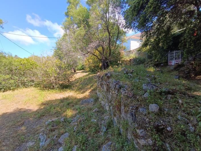 Image No.14-Terre à vendre à Domata