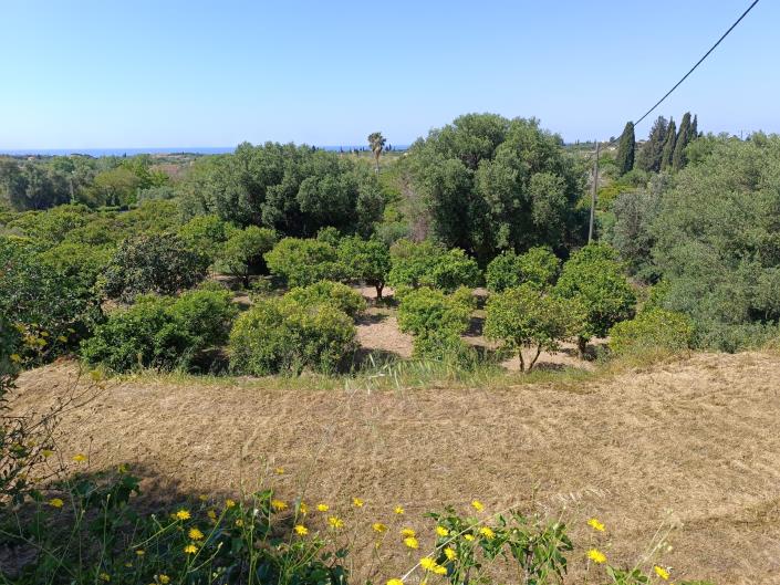 Image No.16-Terre à vendre à Domata