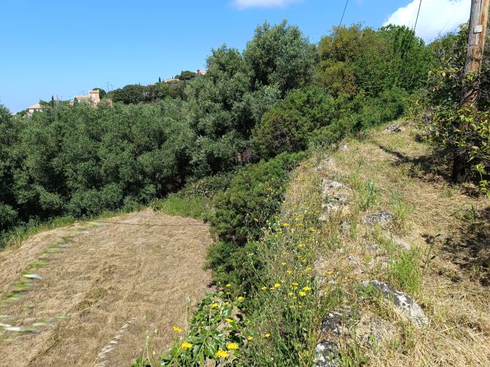 Image No.17-Terre à vendre à Domata