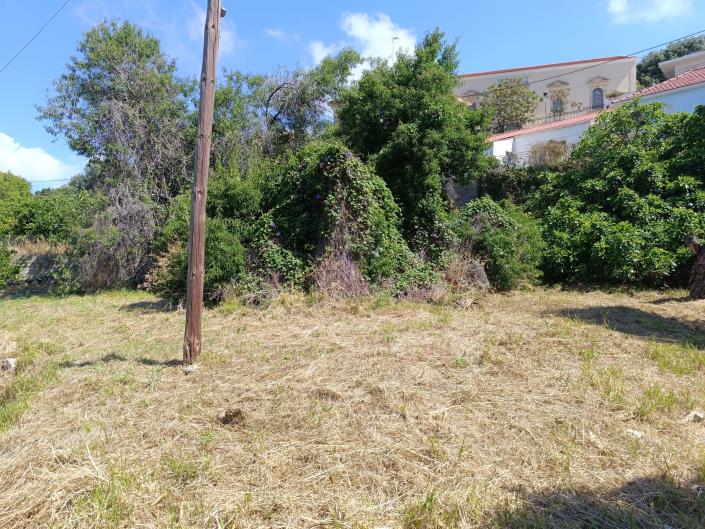 Image No.19-Terre à vendre à Domata